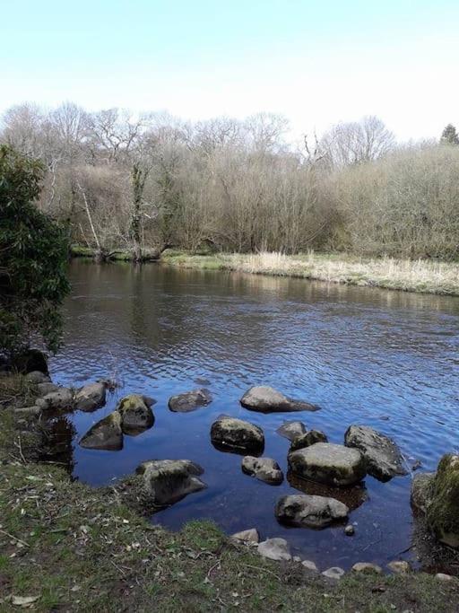 Stunning 3 Bed Riverside Cabin In Snowdonia Caeathro Zewnętrze zdjęcie