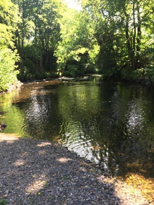 Stunning 3 Bed Riverside Cabin In Snowdonia Caeathro Zewnętrze zdjęcie