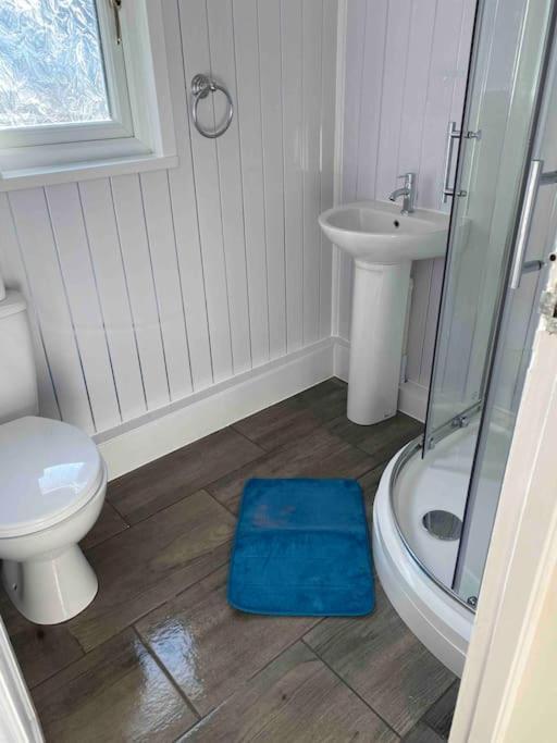 Stunning 3 Bed Riverside Cabin In Snowdonia Caeathro Zewnętrze zdjęcie