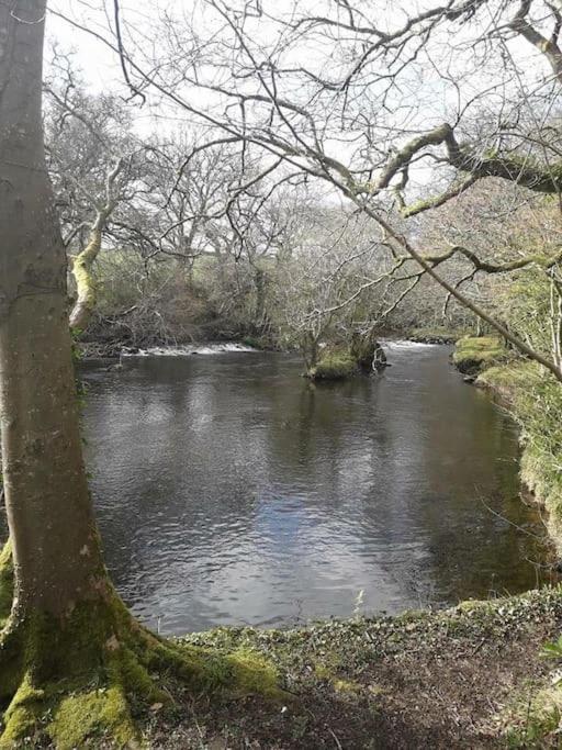 Stunning 3 Bed Riverside Cabin In Snowdonia Caeathro Zewnętrze zdjęcie