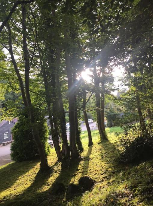 Stunning 3 Bed Riverside Cabin In Snowdonia Caeathro Zewnętrze zdjęcie